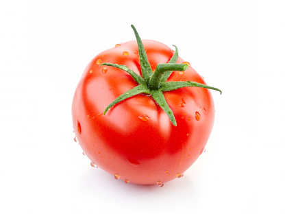 Tomato (Antalya)