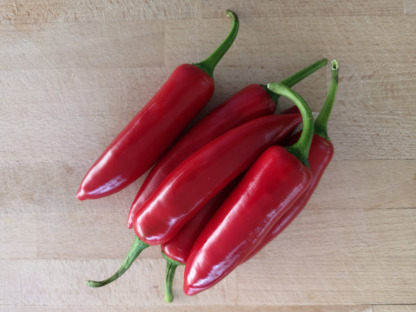 Chilli Pepper Red (Jalapeno)