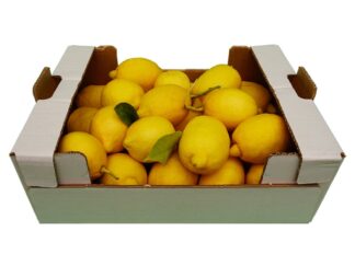 Lemons Box