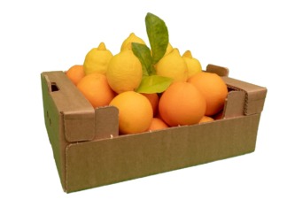 Lemons & Oranges Box